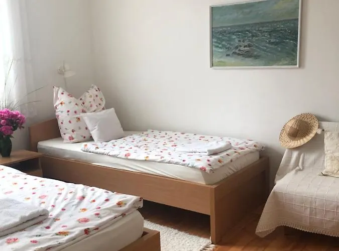 Balaton Vendeghaz Paloznak