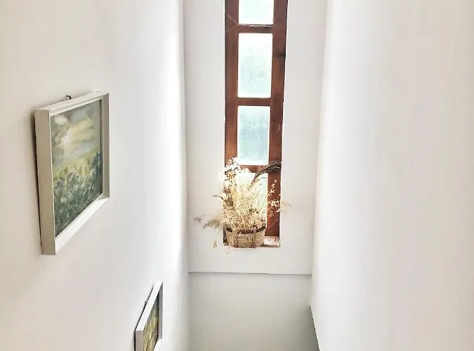 Balaton Vendeghaz パロズナク