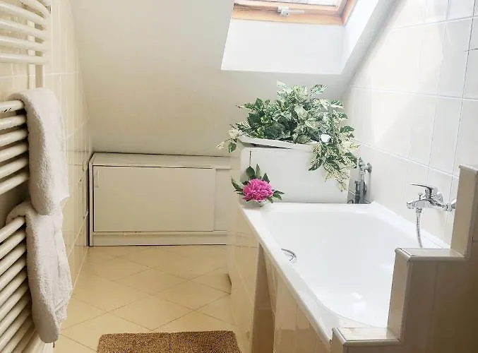 ゲストハウス Balaton Vendeghaz 3*