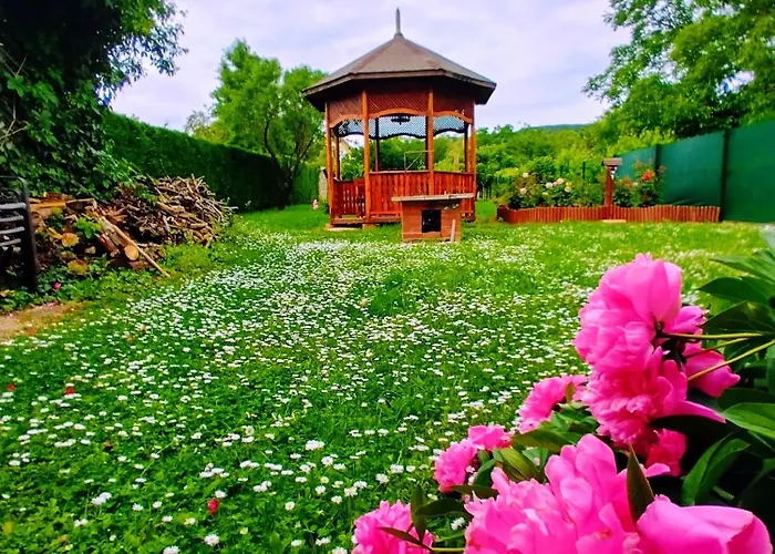 Balaton Vendeghaz パロズナク